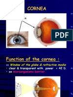 cornea human