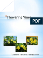 Flowering Vines
