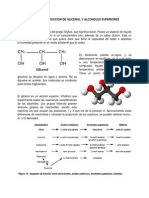 Bioquimica de La Produccion de Glicerol y Alcoholes Superiores