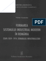 Formarea Sistemului Industrial Modern - 1859-1914, Demarajul Industrializarii, Ed. Academiei, 2008