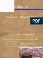 Chapter19 Primate and Human Evolution