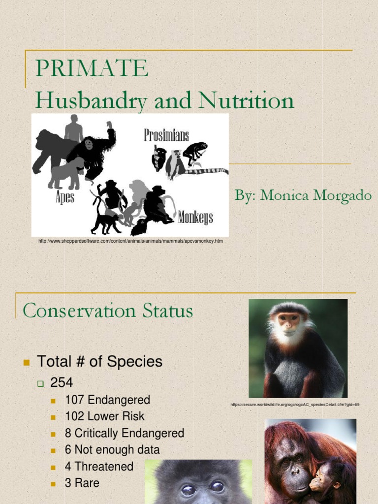 The Ultimate Guide to Navigating the Complex World of Primate Nutrition