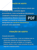 10-Fixação de Azoto