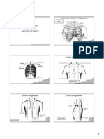 Anatomia Respiratoria I