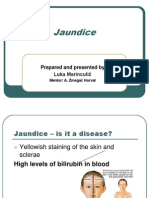 Jaundice: Prepared and Presented by Luka Marinculić