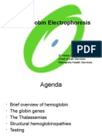 08 Hb Electrophoresis