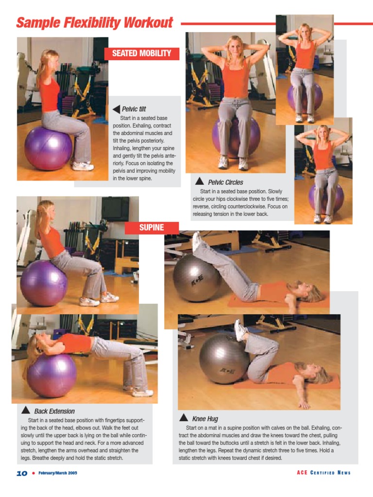 Flexibility Exercises for Core Strength | PDF | Pelvis | Hip