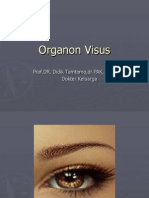 Organon Visus