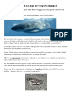 4 Shark Article For Applying Contextual Clues