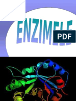 Enzime