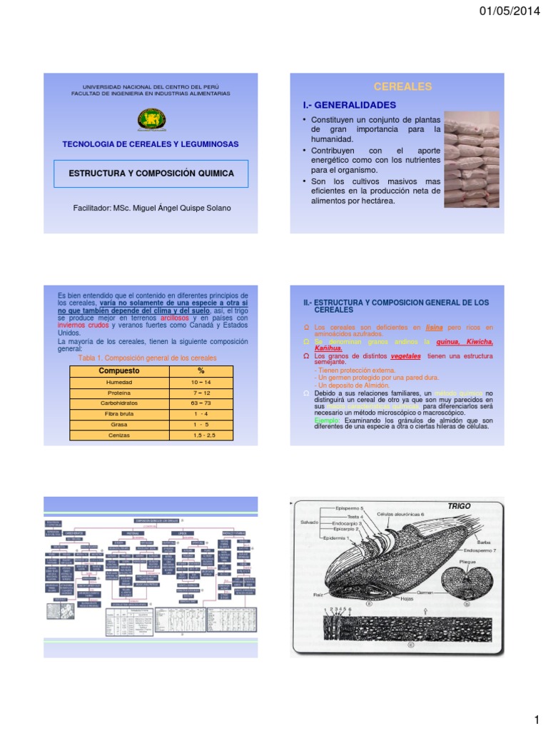 Clase Ii_estructura y Composicion Quimica de Cereales