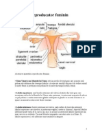 Aparatul Reproducator Feminin