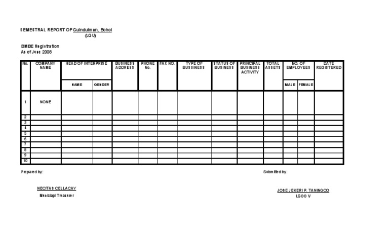 BMBE Registration Report for Guindulman | PDF