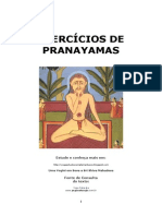 Exercicios de Pranayama