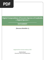 Download  Borassus flabellifer L by yeangdonal SN23258879 doc pdf