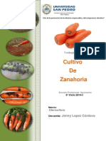 Cultivo de Zanahoria 2014