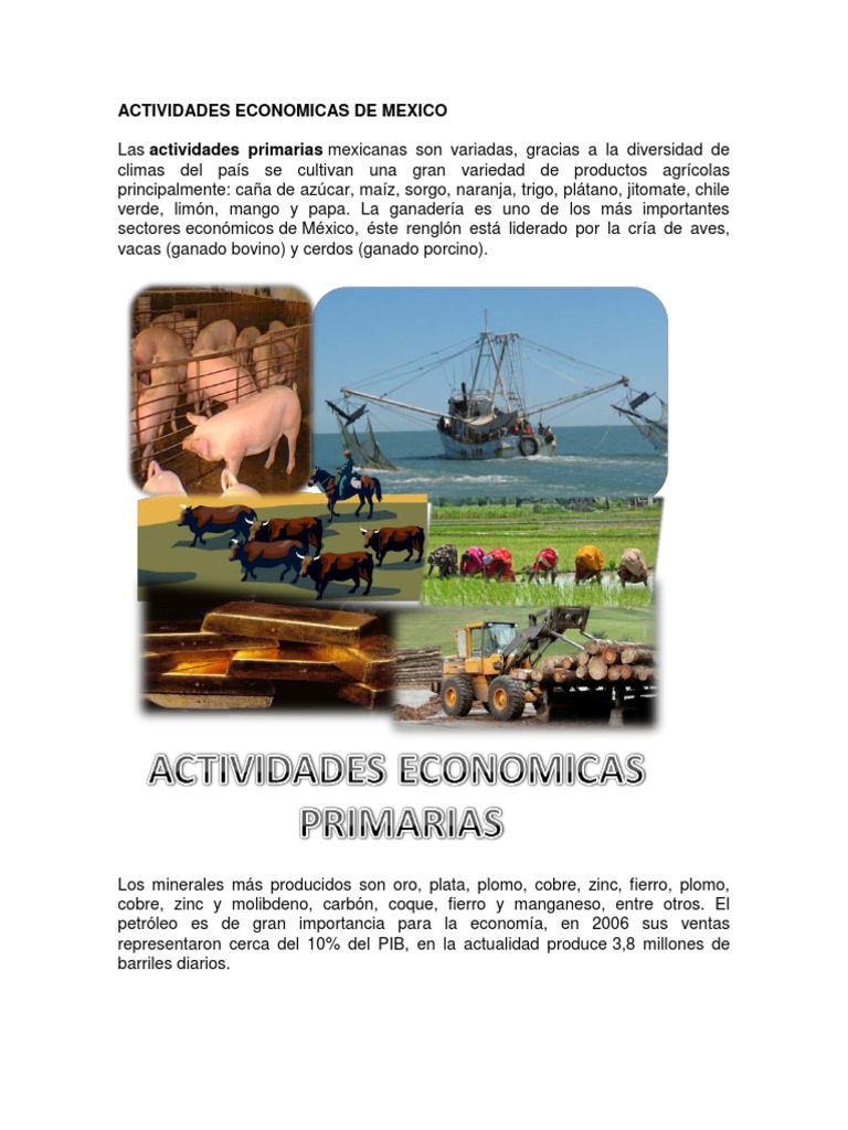 Actividades Economicas de Mexico | PDF | Campeche | México