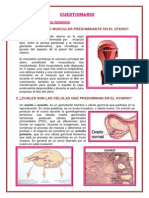 Cuestionario 15