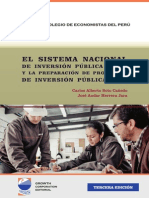 Libro PIP SNIP - Resumen - Protegido