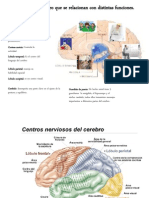 Trabajo Del Cerebro