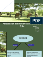 Actualización Situación Sanitaria Equina en Chile