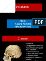 Anatomi Cranium 3