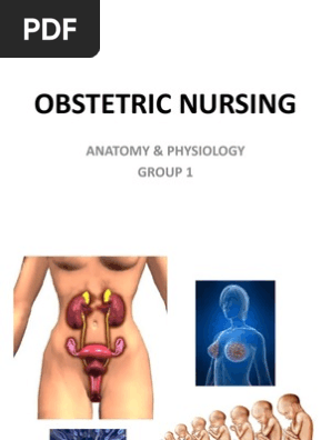 Anatomy And Physiology Obstetric Pdf