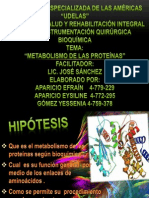 Metabolismo de La Proteinas Grupo 4