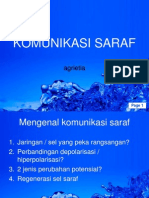 Prinsip Komunikasi Saraf Dan Hormon