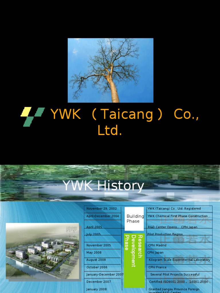 YWK Co. Ltd. Milestones and R&D Focus | PDF | Nuclear Reactor | Chemistry