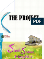 south spring project profile for client