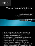 Tumor Medula Spinalis