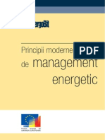 managementenergetic-140104065015-phpapp01