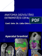 AparatBranhial2013