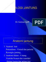 Fisiologi Jantung