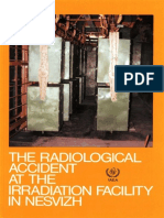 The Radiological Accident at The Irradiation Facility in Nesvizh