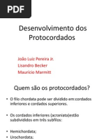 Embriologia - Seminario Desenvolv. Protocordados