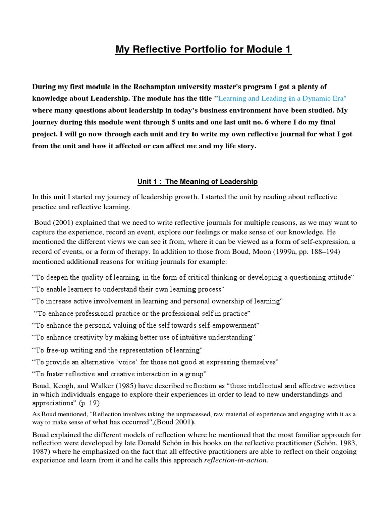 Reflective Portfolio Leadership Leadership & Mentoring