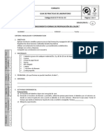 G Lab s1 Transferencia de Calor