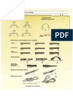 Revision de Cuerdas