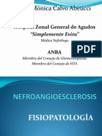 Nefroangioesclerosis