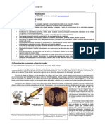 Biologia i.veloso Modulo 1 - 1 Medio