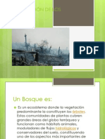 Degradación de Los Bosques