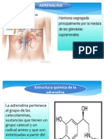 Dias Positiivas de La Adrenalina