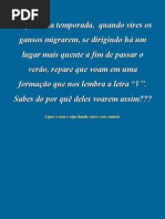 Vôo dos Gansos - grandes lições