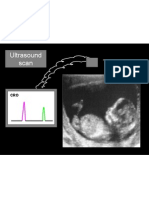 PP Ultrasound scan 1