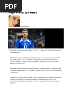 Player Profile Edin Dzeko