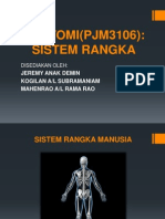 Sistem Rangka Manusia