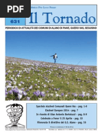 Il_Tornado_631