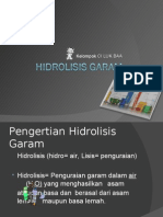 Hidrolisis Garam